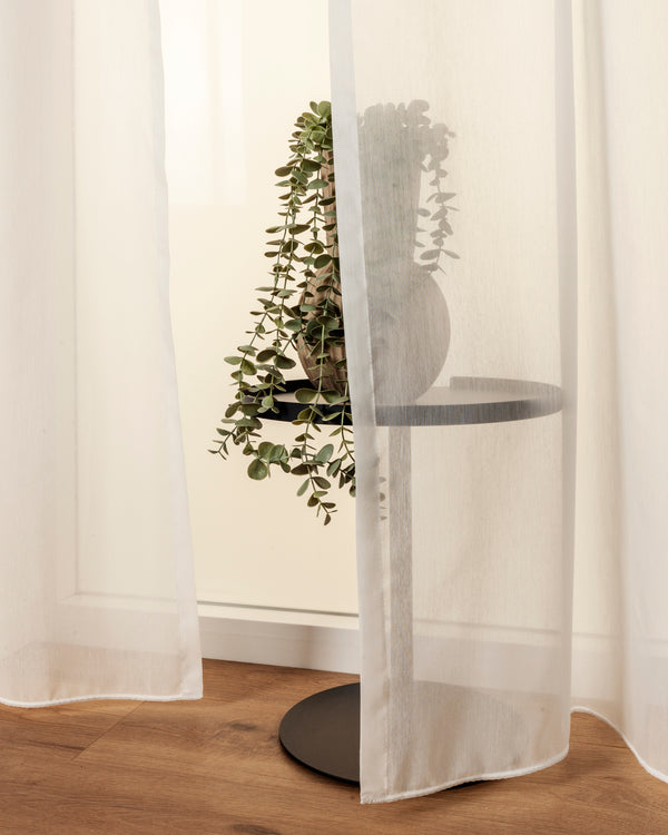 Transparenz
